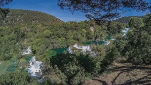 Divers