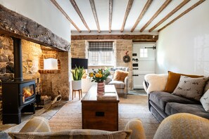 Télévision, cheminée