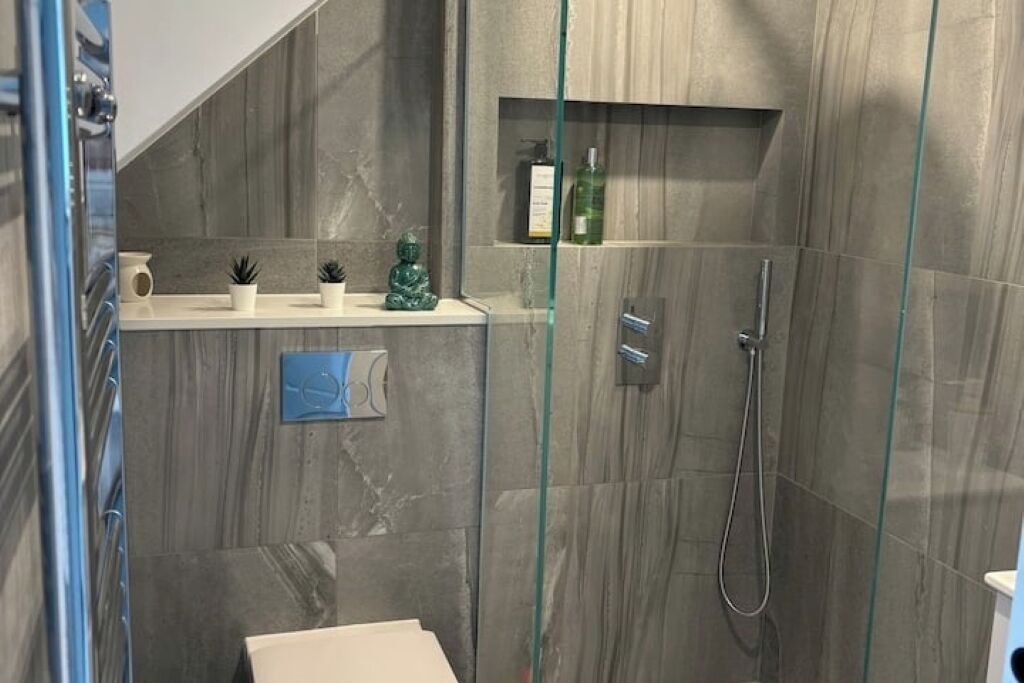 Shower, hair dryer, bidet, towels