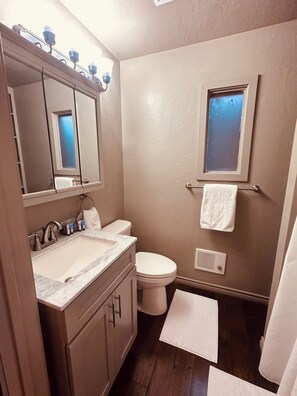 A bathroom with a sink, toilet, and mirror. - Cozy vineyard studio with peaceful pond views. (Gilmer)