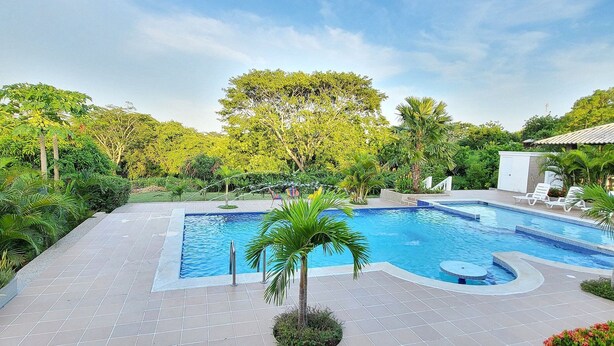 Une piscine dotée d’une terrasse carrelée, entourée d’une végétation luxuriante et de palmiers.