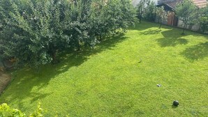 Un área verde bien cuidada con un pequeño jardín y un edificio al fondo.