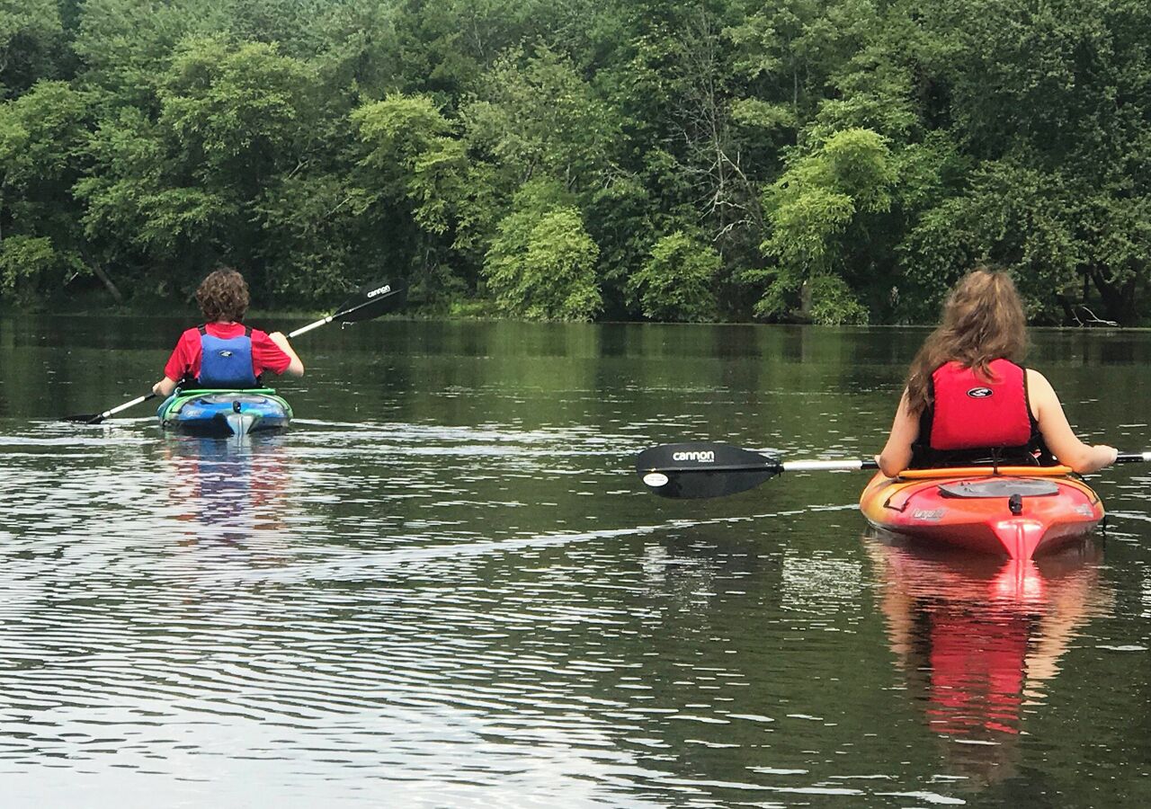 Twee kajaks op een rustig wateroppervlak met weelderige begroeiing op de achtergrond.