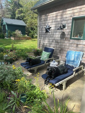 Terrein van de accommodatie