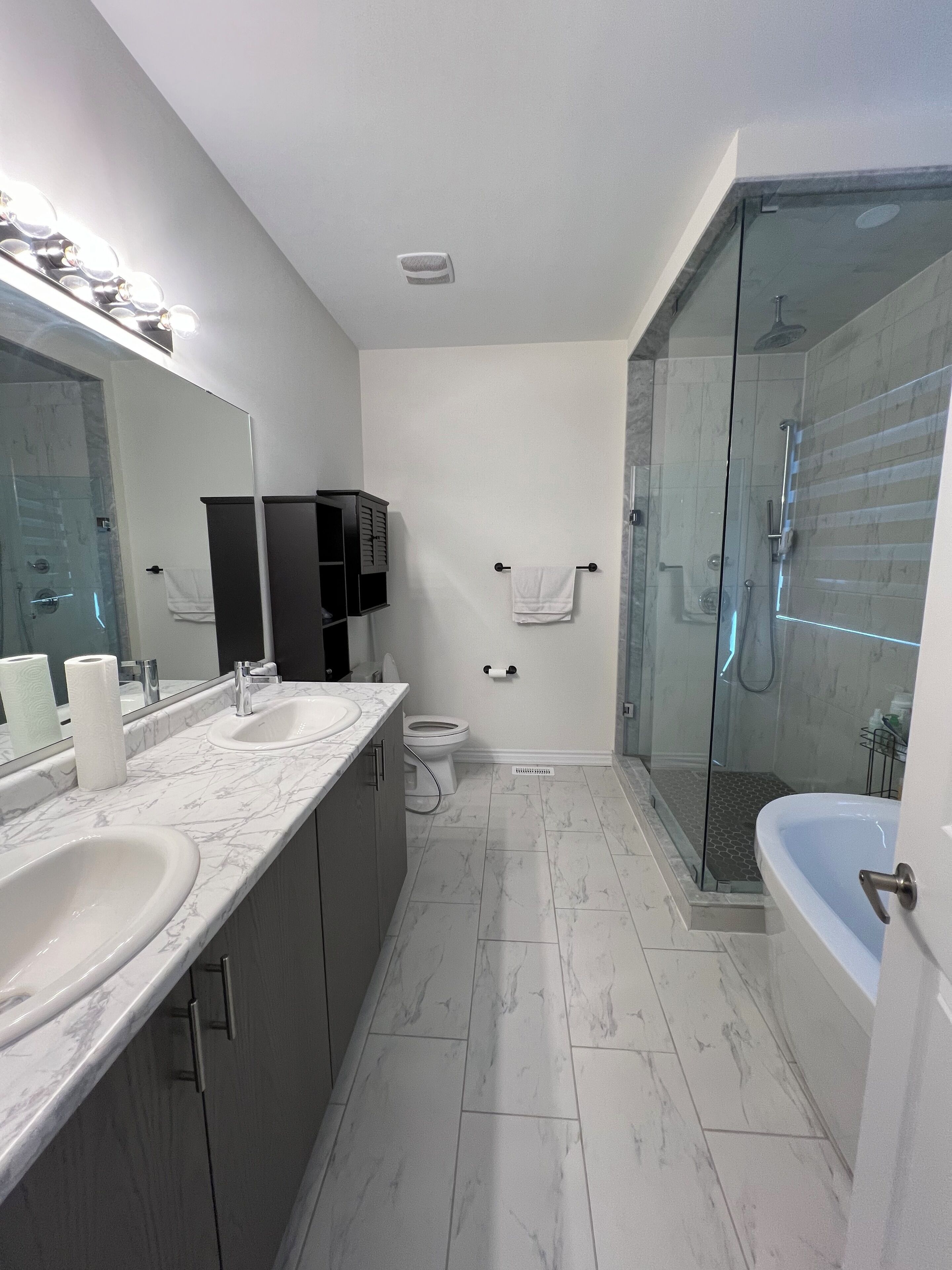 Hair dryer, bidet, towels, soap