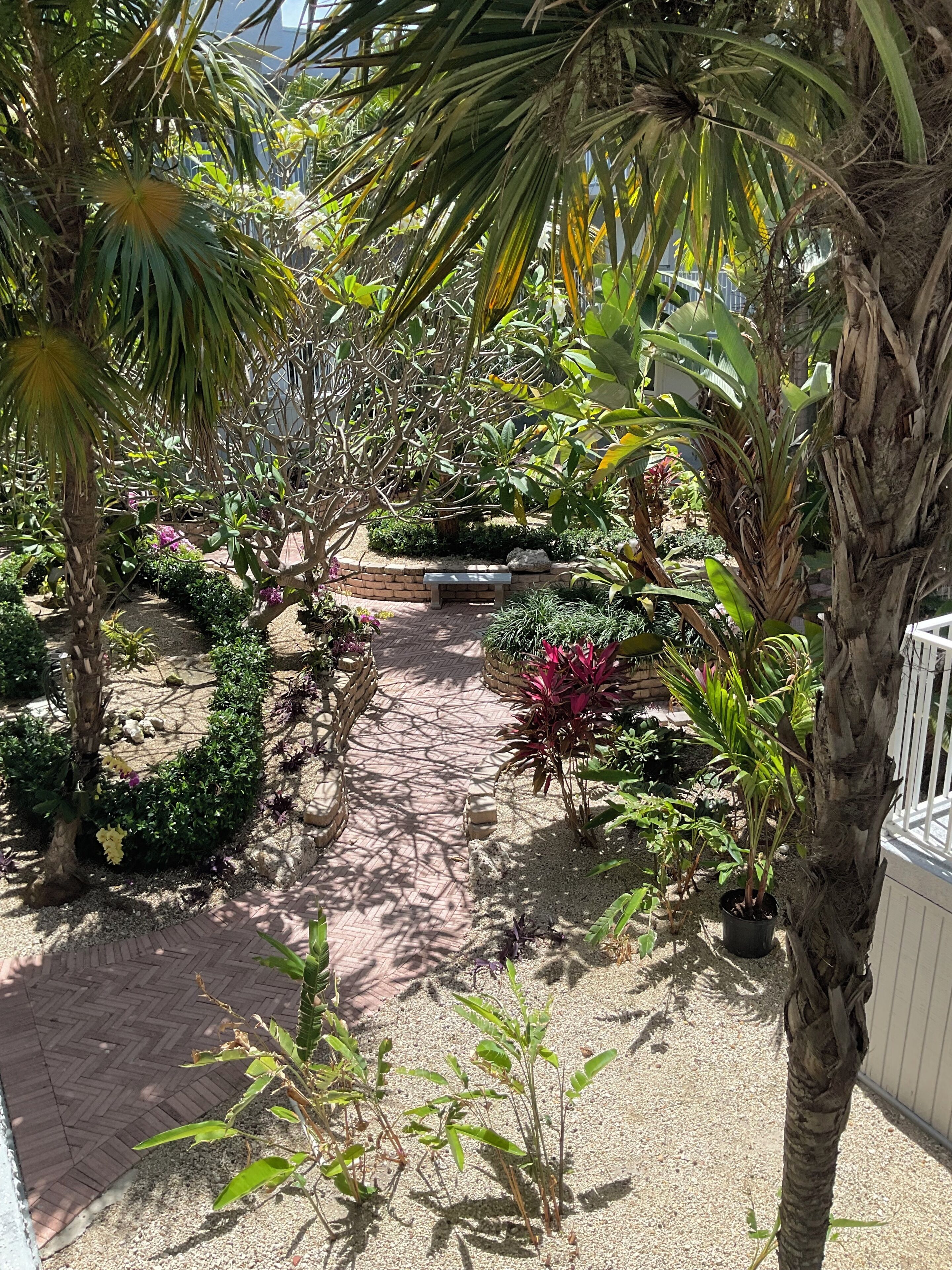 Un sentier de jardin bordé de différentes plantes et agrémenté d’un banc.