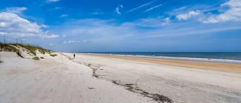 Nära stranden