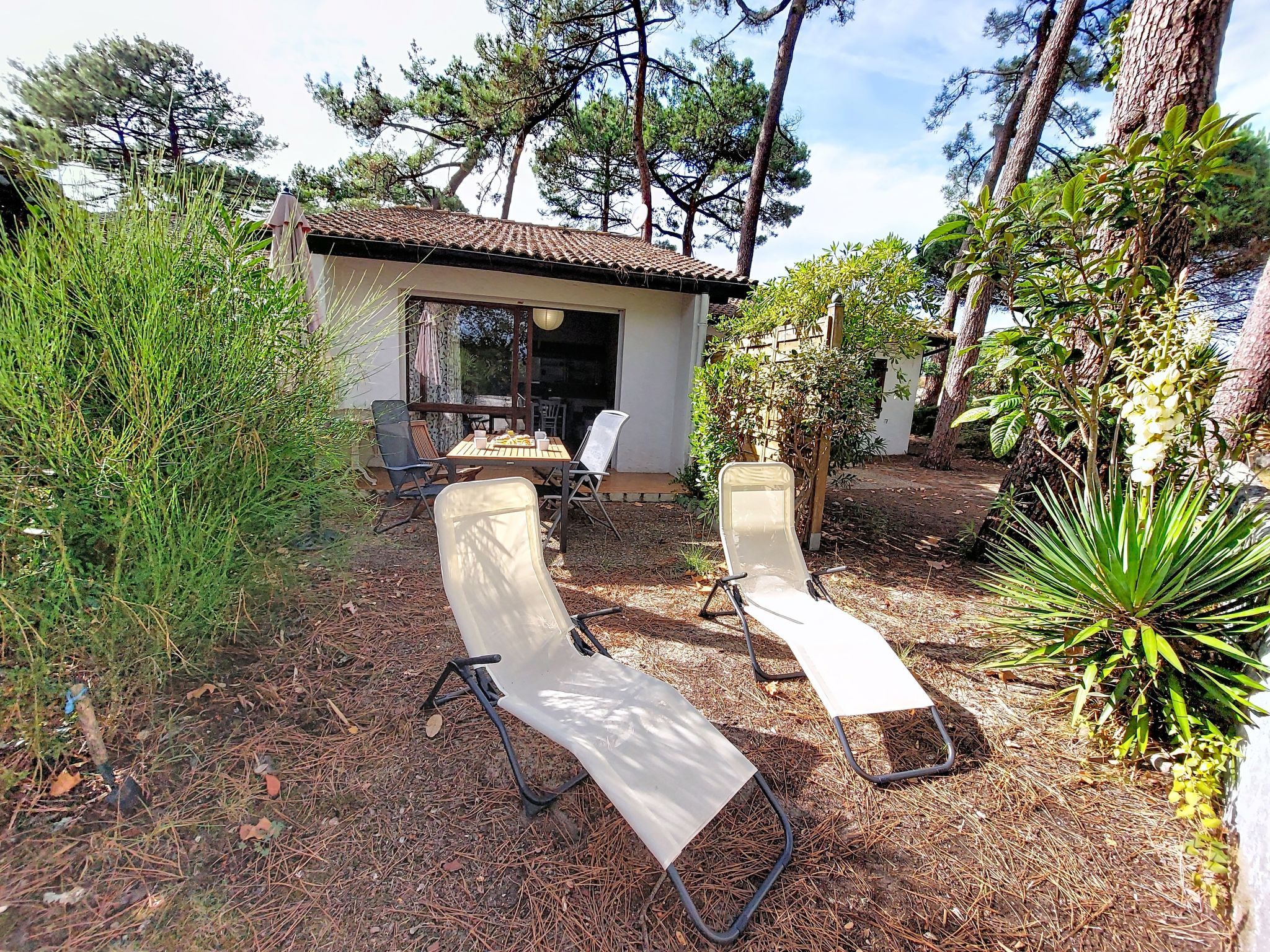 An outdoor seating area with two lounge chairs and a small table, surrounded by pine trees and a white building with a tiled roof.