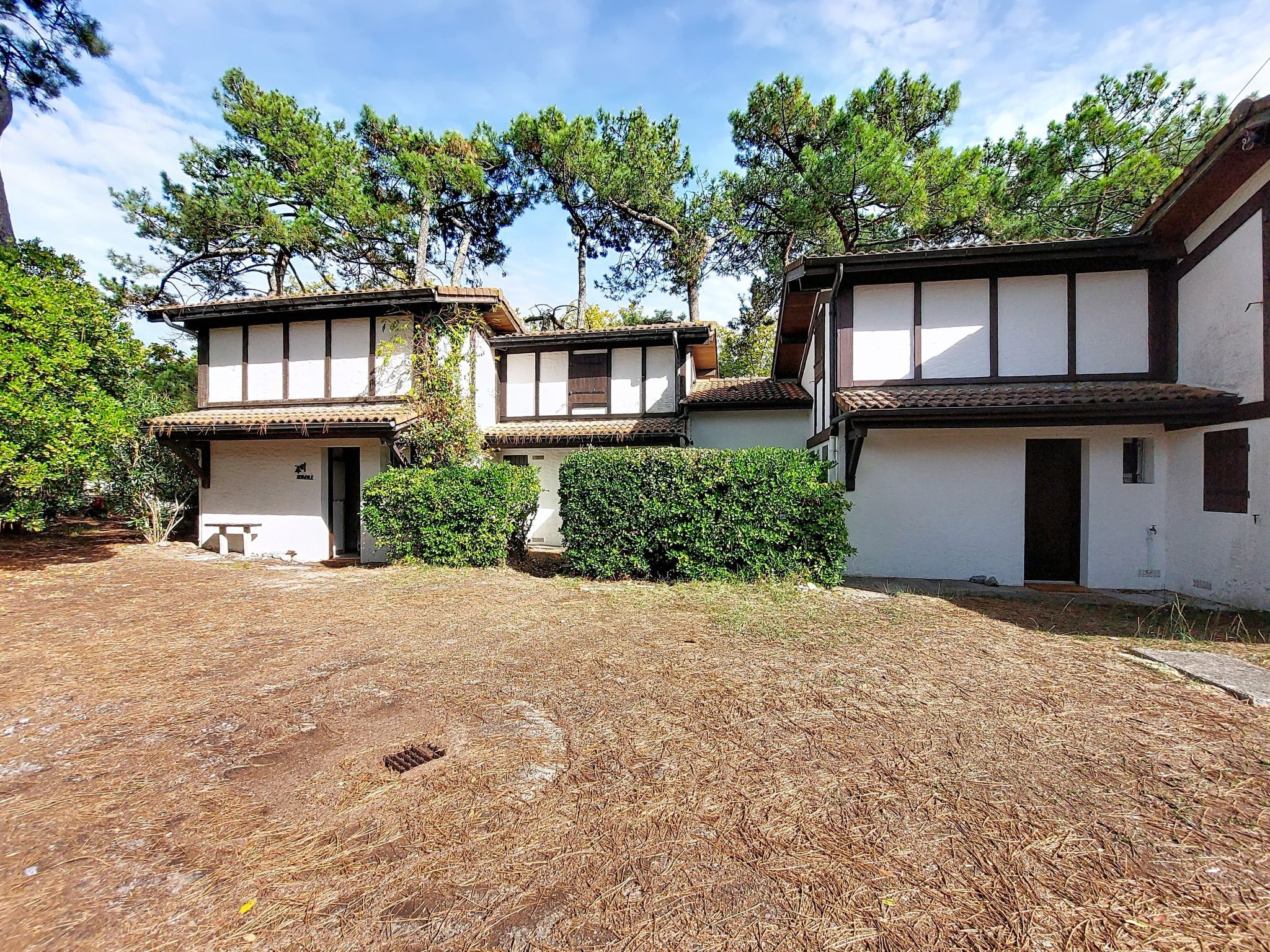 A traditional building with a thatched roof, a small porch, and a well-maintained garden with pine trees.
