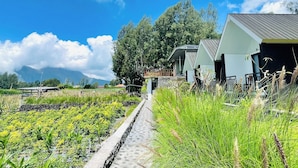 Una casa moderna con un camino empedrado que lleva a una terraza de madera, rodeada de exuberante vegetación y un cielo azul despejado.