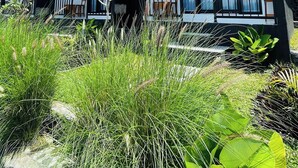 Una casa moderna de dos pisos con fachada blanca y detalles negros, rodeada de abundante vegetación y árboles.