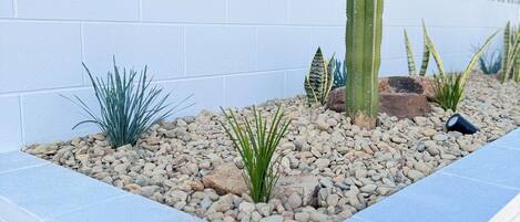 Una jardinera con diversos cactus y suculentas, una pared blanca con un diseño geométrico y una puerta de metal con un pomo redondo.