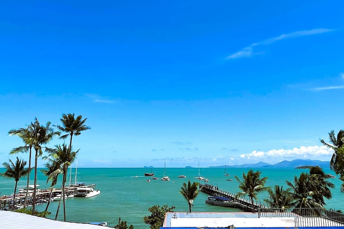 A coastal view with a marina, palm trees, and boats.