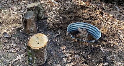 Cozy renovated vintage cabin near lake Cecilia