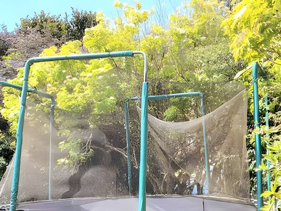 A trampoline with safety netting, surrounded by lush greenery and trees.