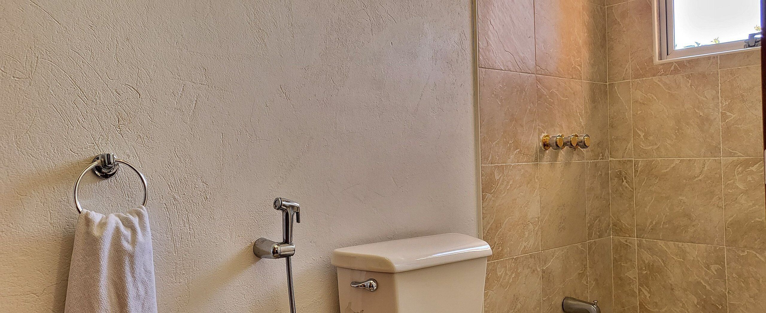 A bathroom with a toilet, a towel ring, and a shower head.