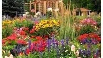 Un jardín con una variedad de flores coloridas y una estructura de pérgola de madera.