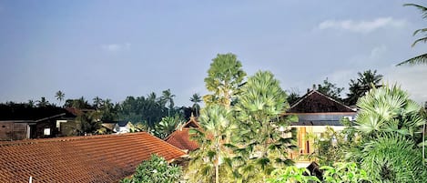 Vista dalla camera