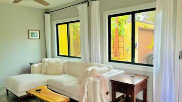 Smart TV, chimenea, libros y estéreo