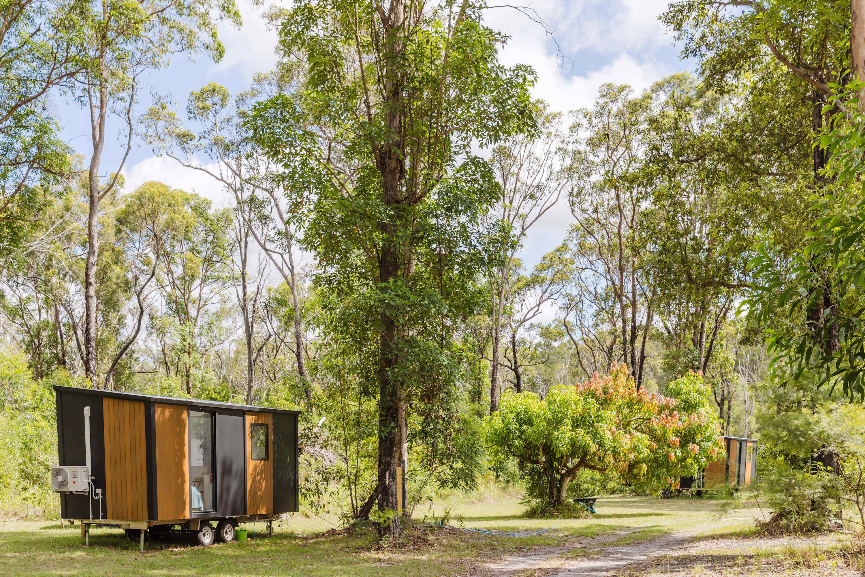 A mobile home in a wooded area with a dirt path, surrounded by trees and greenery.
