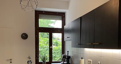 Room-spacious Room in Coliving Apartment