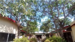 Un patio con un camino central, rodeado de plantas y árboles en macetas, que conduce a un edificio de techo rojo.