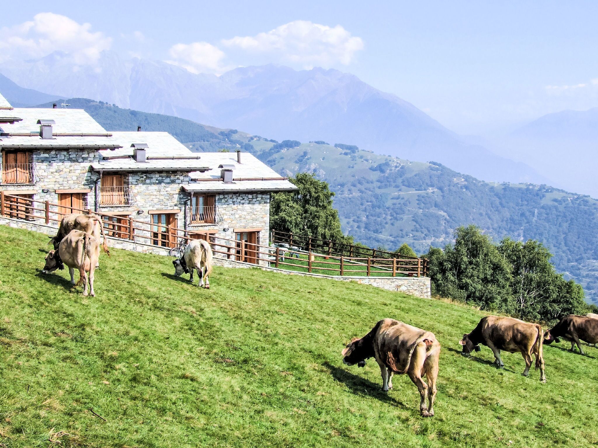 Un bâtiment en pierre avec un toit en pente, une clôture en bois et des vaches qui paissent sur une colline.