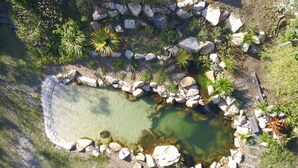 Un étang en forme de cœur, entouré de rochers et de différentes espèces de plantes.