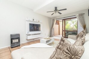 Fernseher, Stereoanlage