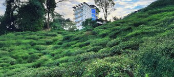 마운트 바셰라 부티크 호텔