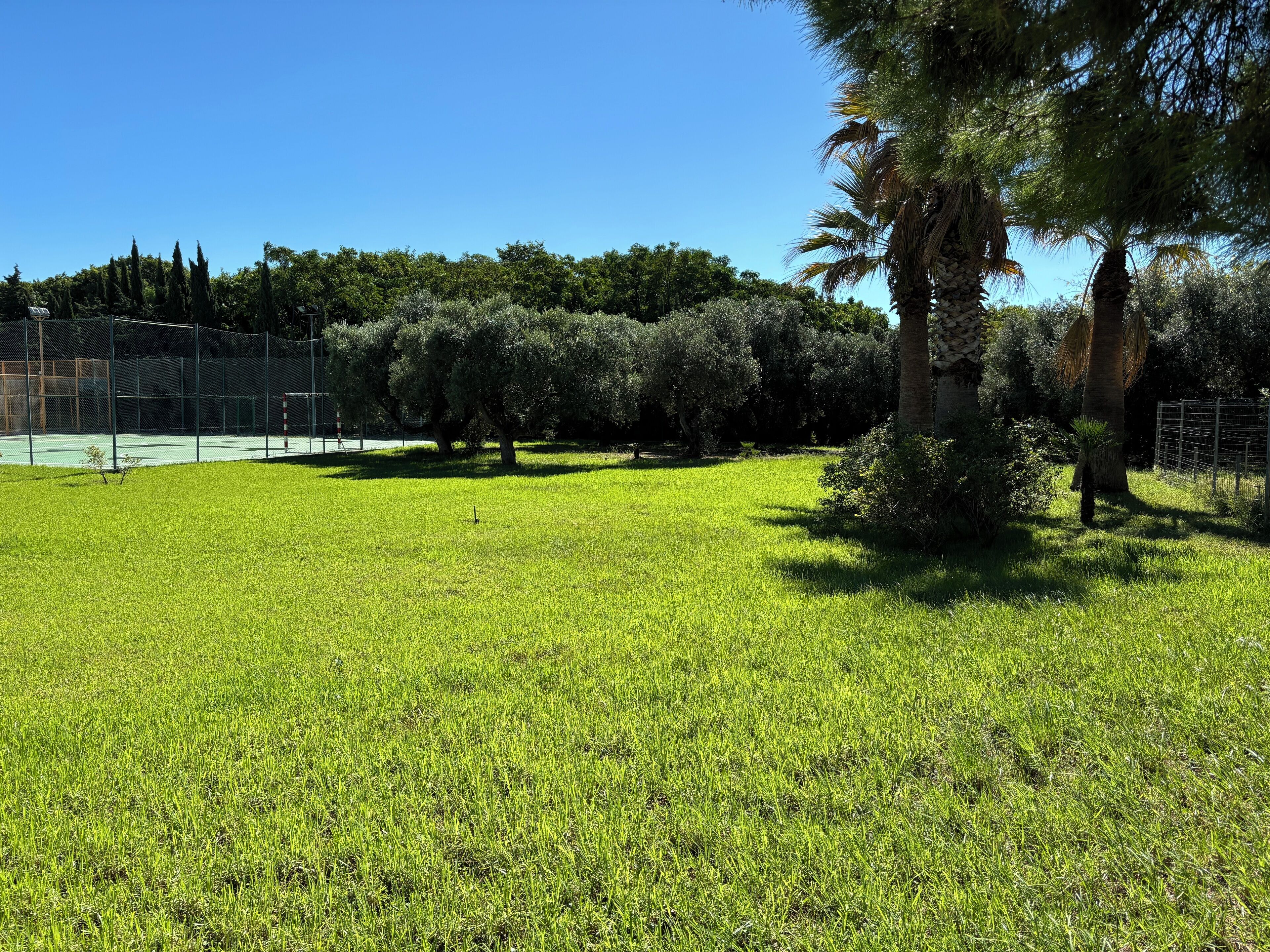 Jardines del alojamiento
