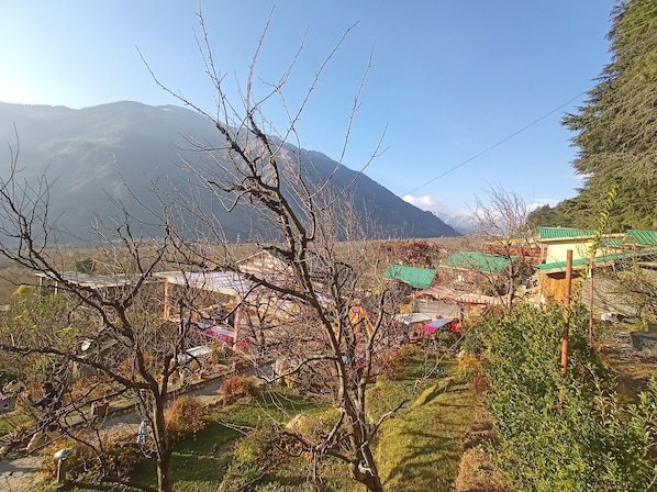 Pemandangan dari properti
