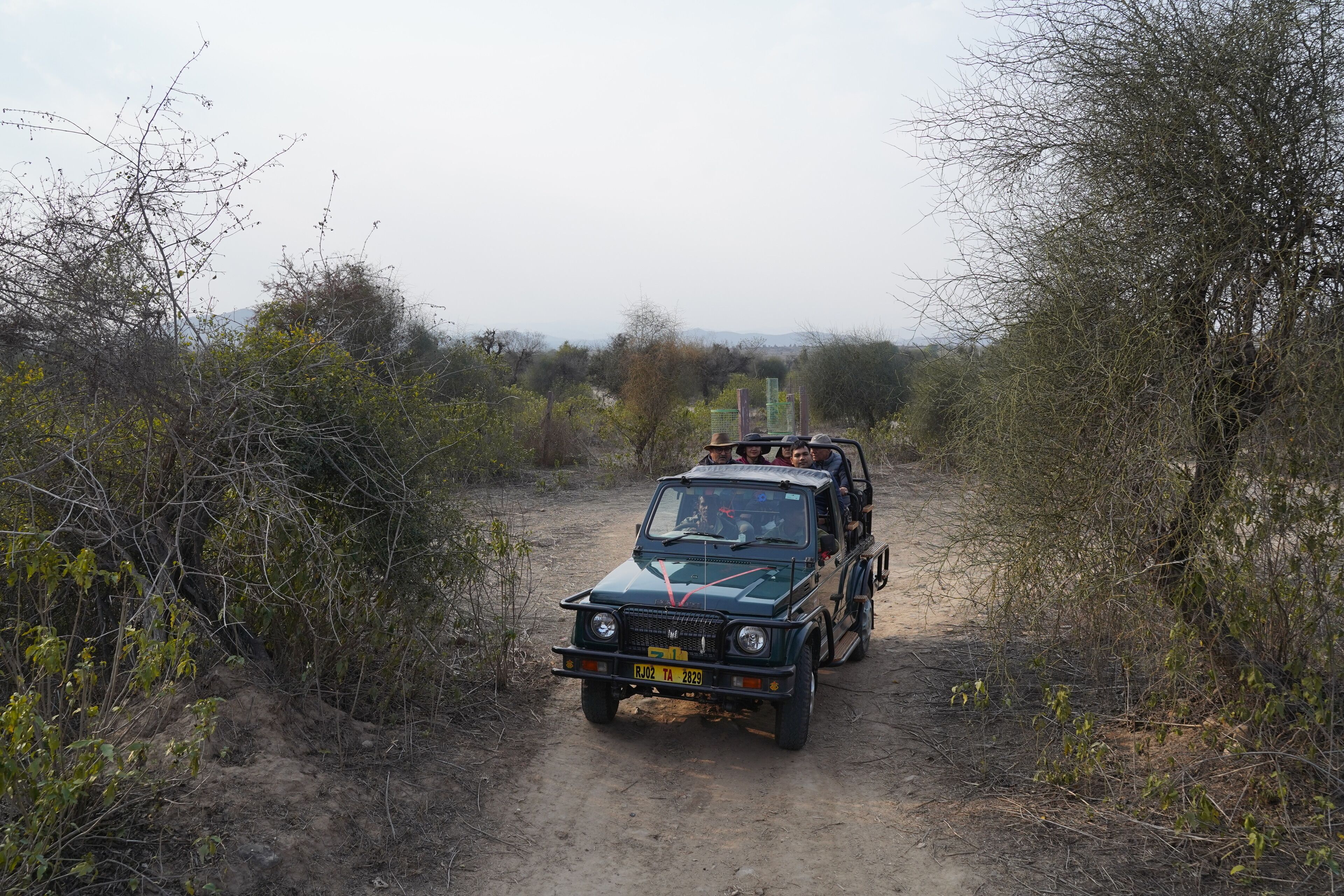Safarí