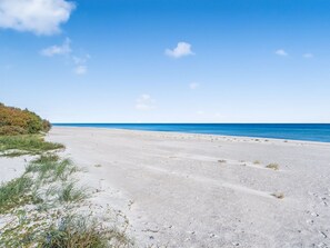 Une plage avec un ciel dégagé et une mer calme.