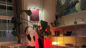 Una sala de estar moderna con un sofá, una planta grande en maceta, una estantería y un cuadro en la pared.