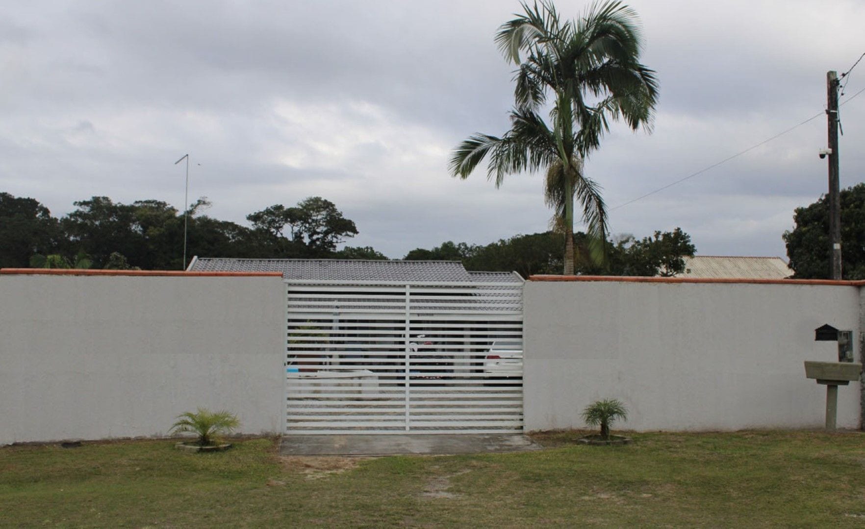 A gated area with a metal gate, a palm tree, and a white wall.