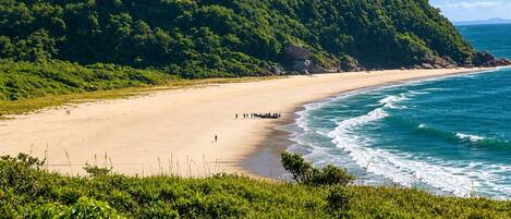 A beach with a boat on the water, a sandy shore, and a forested hill in the background.