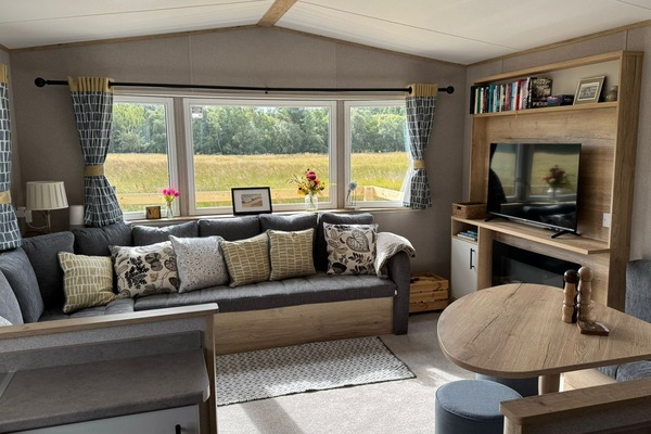 Älytelevisio, takka