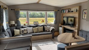 Smart TV y chimenea 