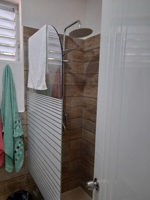 Villa | Bathroom | Shower, hair dryer, towels - Tropical Paradise Villa in Sosua (Sosúa)
