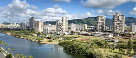 A cityscape with high-rise buildings, a river, and a park with palm trees.