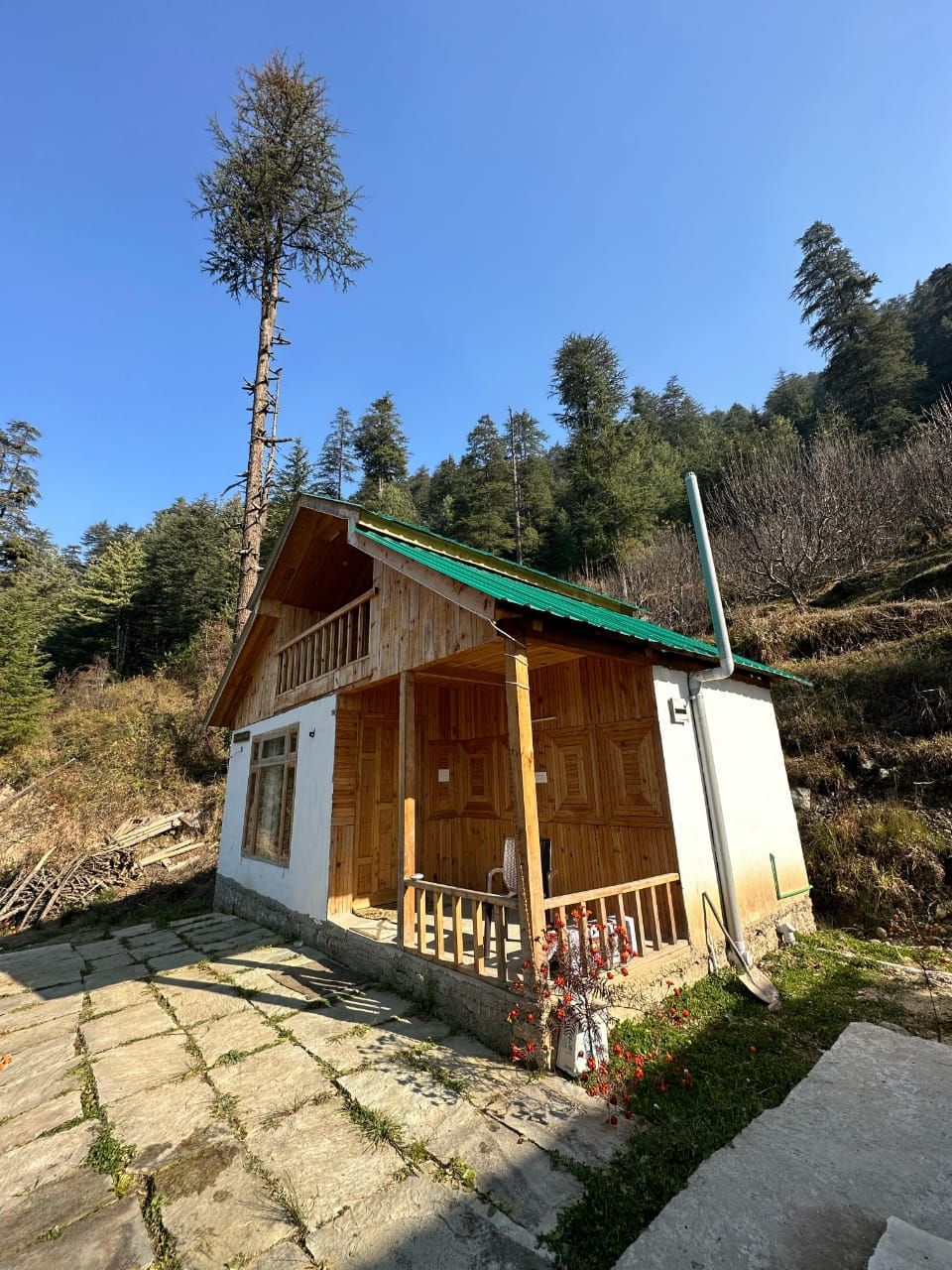 A wooden cabin with a green roof, surrounded by trees and a stone pathway.