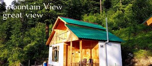 Interior entrance - Timber nest Cottage (Sainj)
