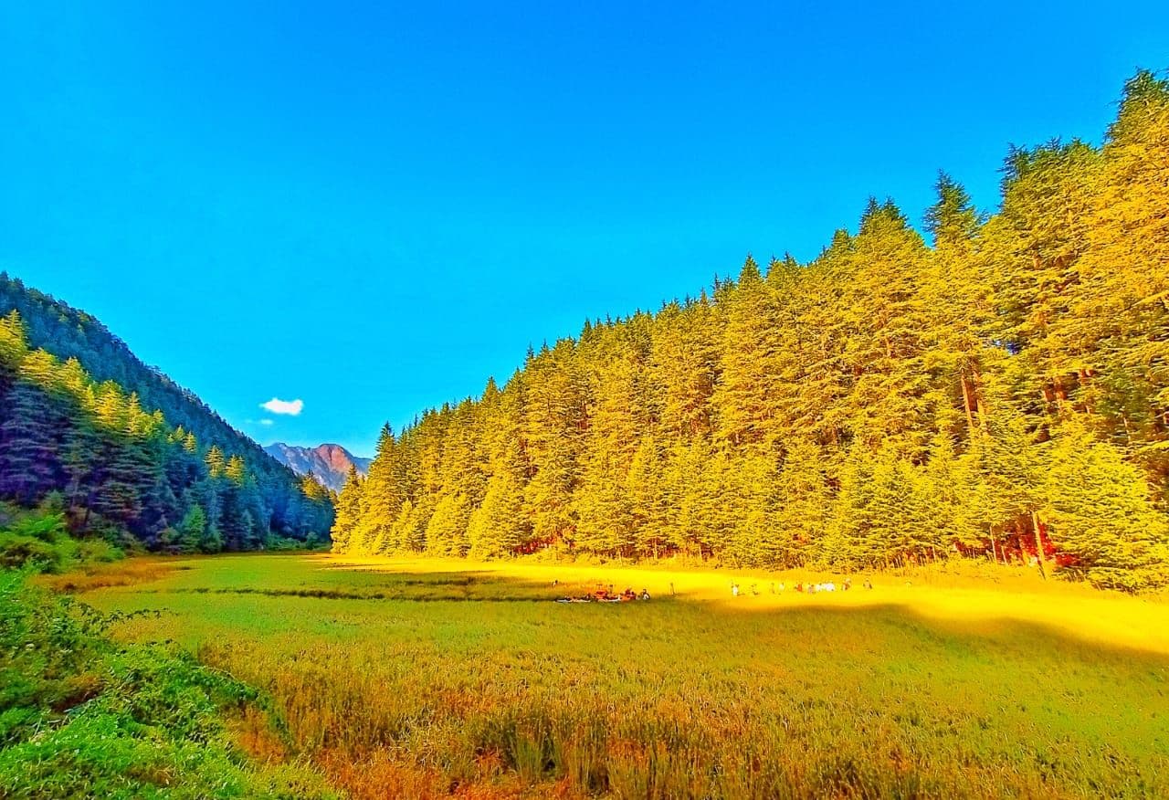 Un paisaje natural con bosque y campo.