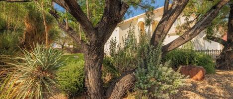 Parco della struttura