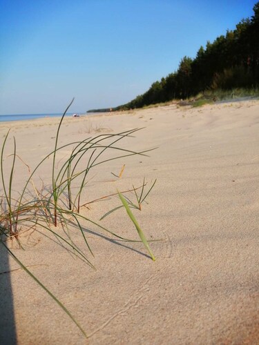 Chic 1-bedroom apartment at Baltic see bay