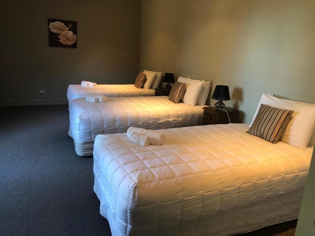 Een hotelkamer met twee bedden, elk voorzien van een kussen en een lamp.