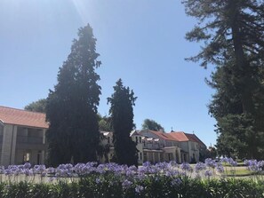 Eksteriør
