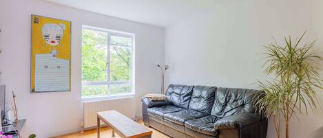 TV, DVD player, books, stereo
