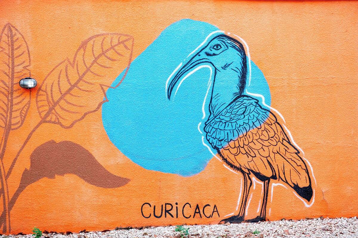 A mural of a bird and the word "CURICACA".